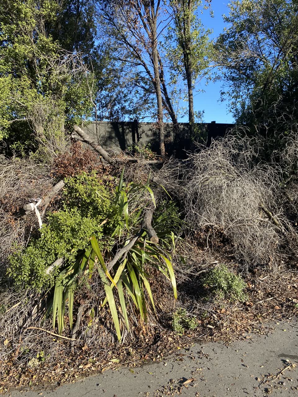 The photograph attached to this parks report