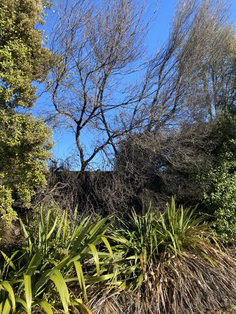 Parks, a report photo