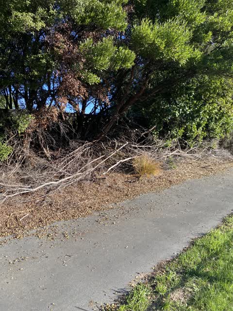 Parks, a report photo