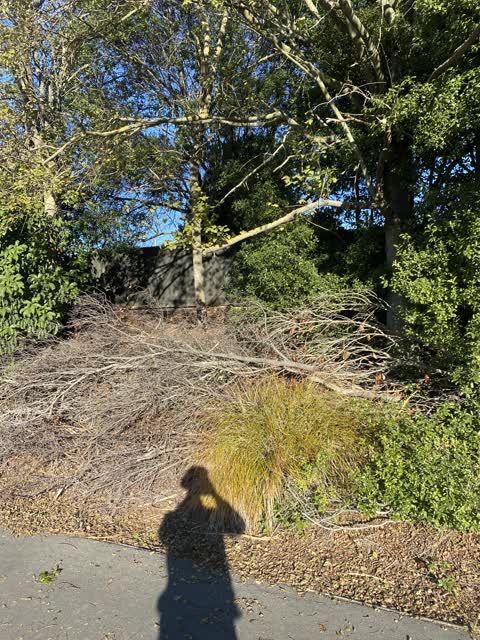 Parks, a report photo