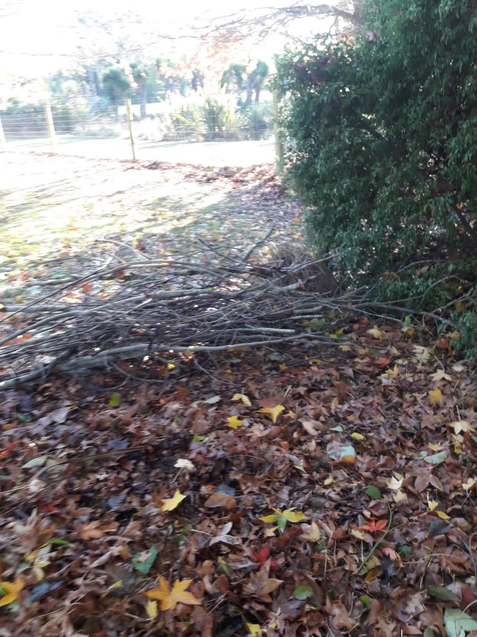 The photograph attached to this parks report