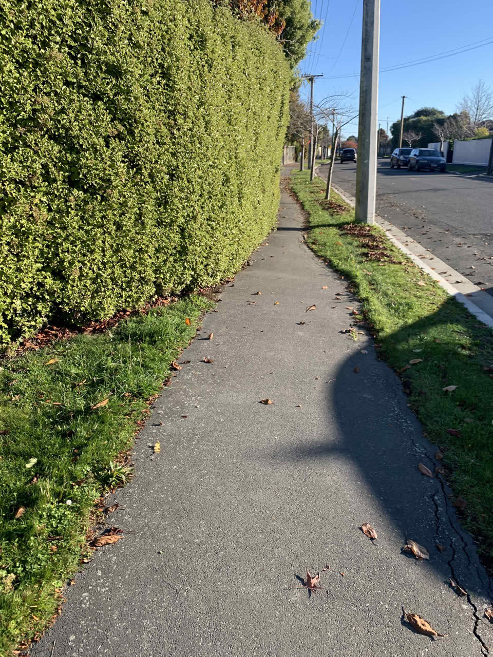 The photograph attached to this roading/streets report