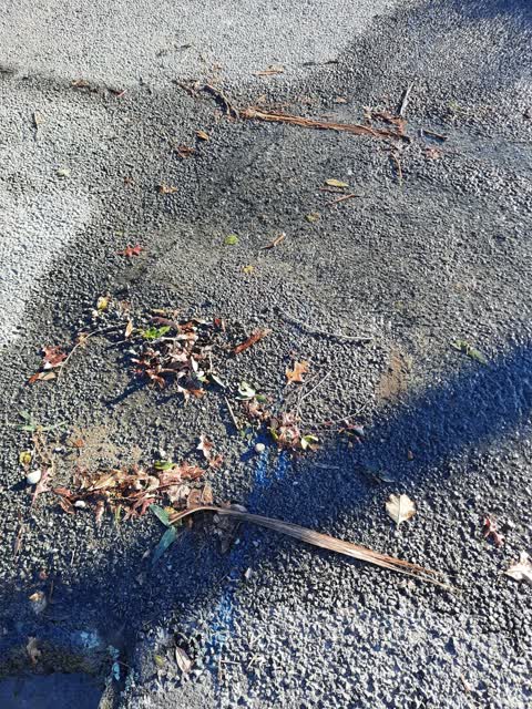 Water Leak, a report photo