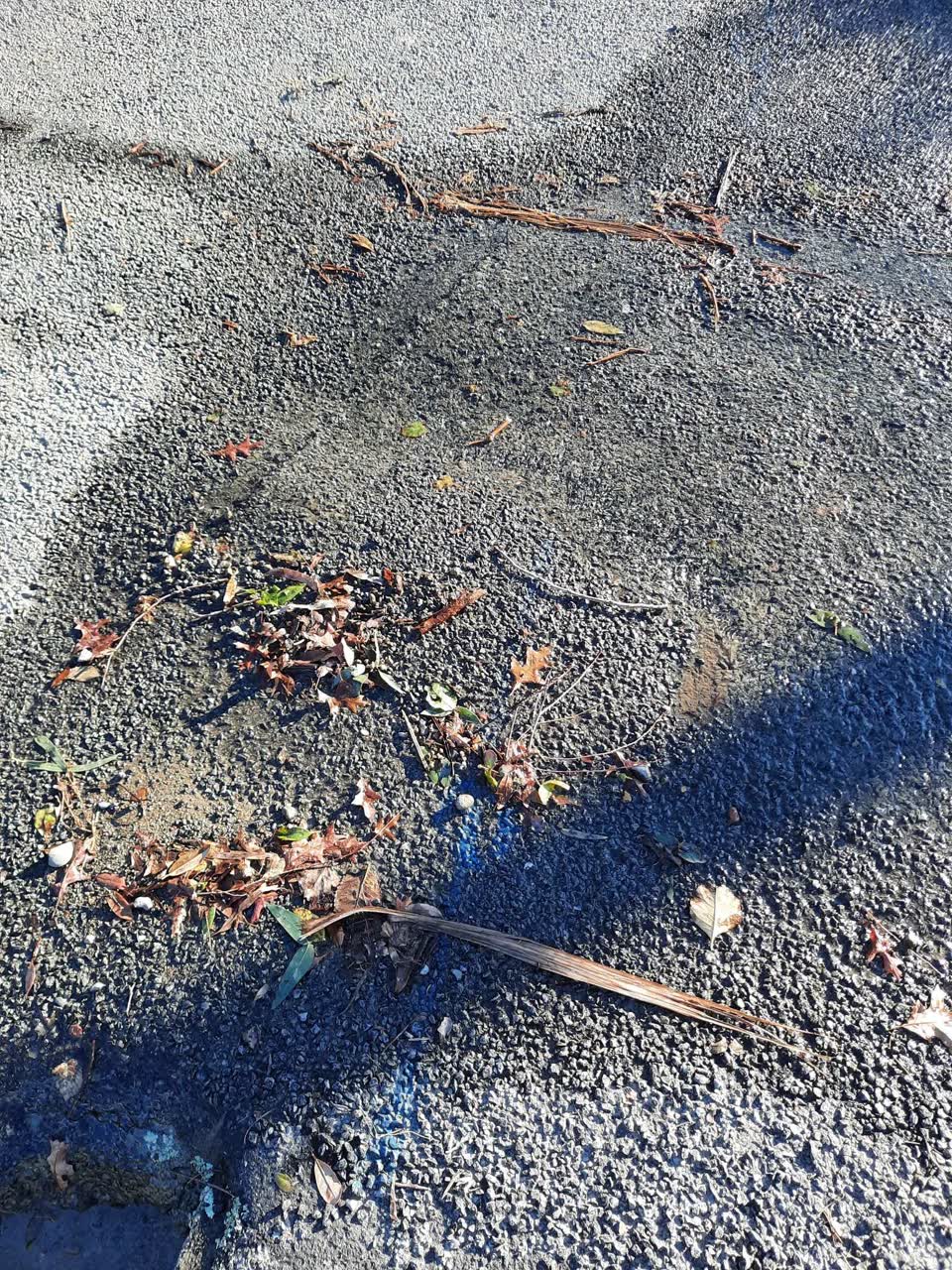 The photograph attached to this water leak report