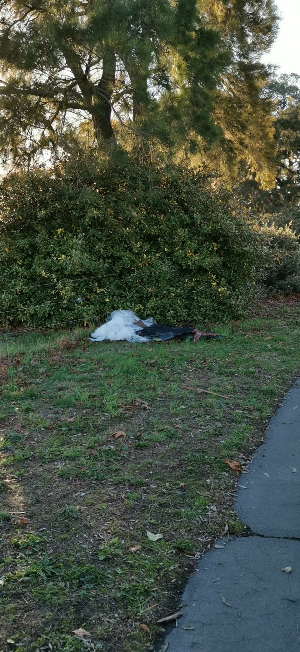 The photograph attached to this rubbish/recycling report