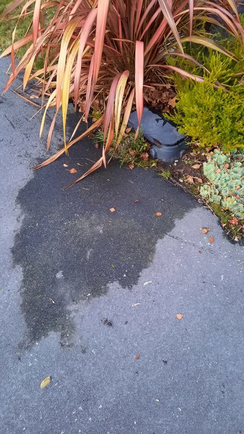 Water Leak, a report photo