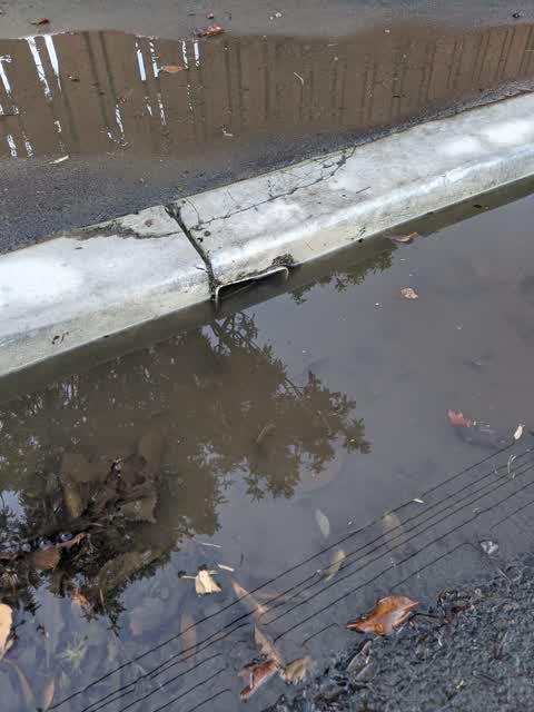 Wastewater/Stormwater, a report photo
