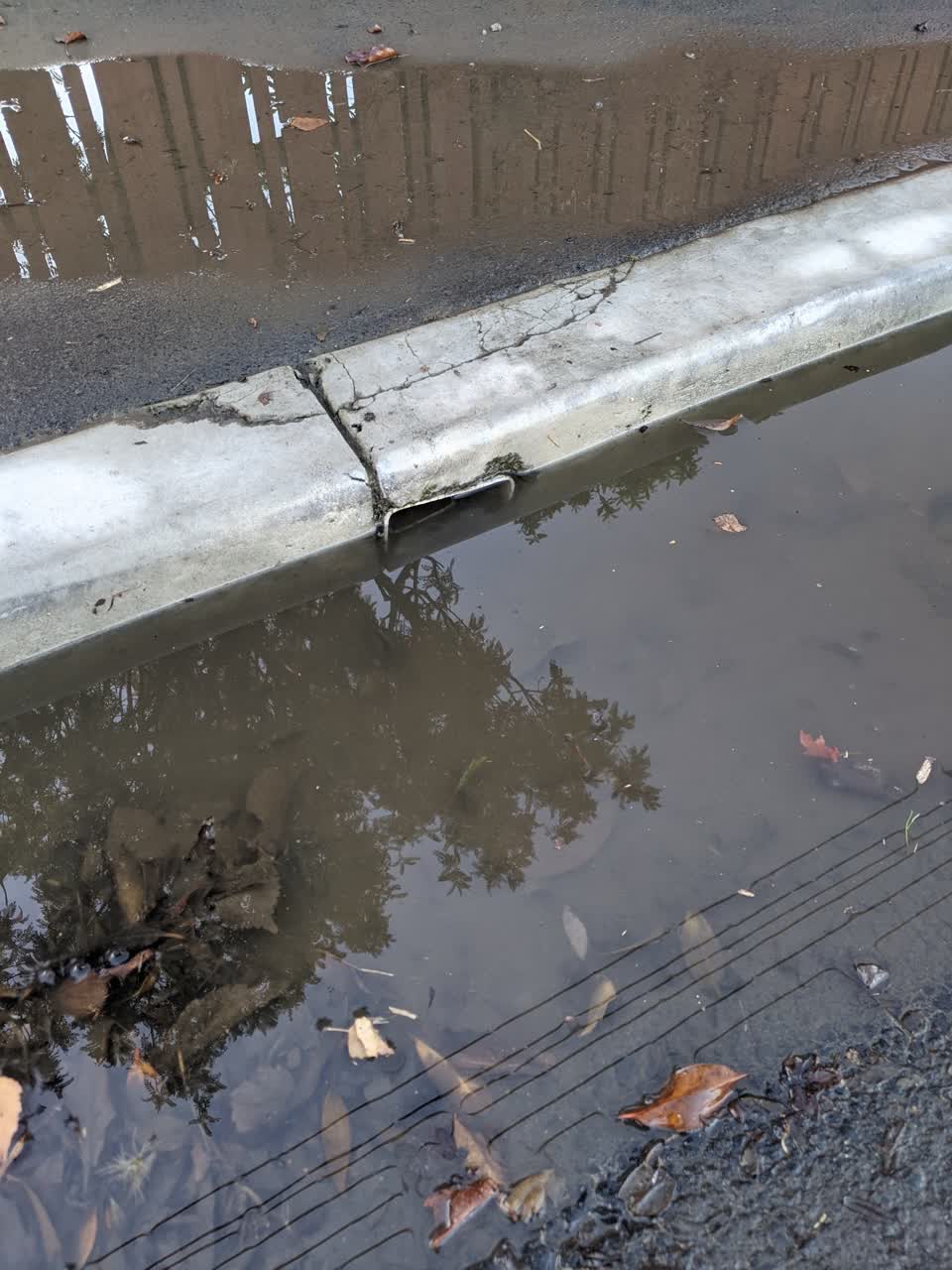 The photograph attached to this wastewater/stormwater report