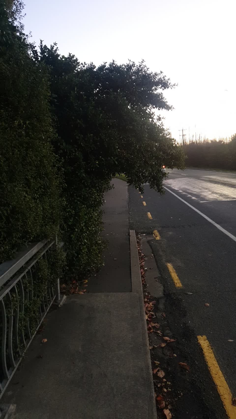 The photograph attached to this roading/streets report