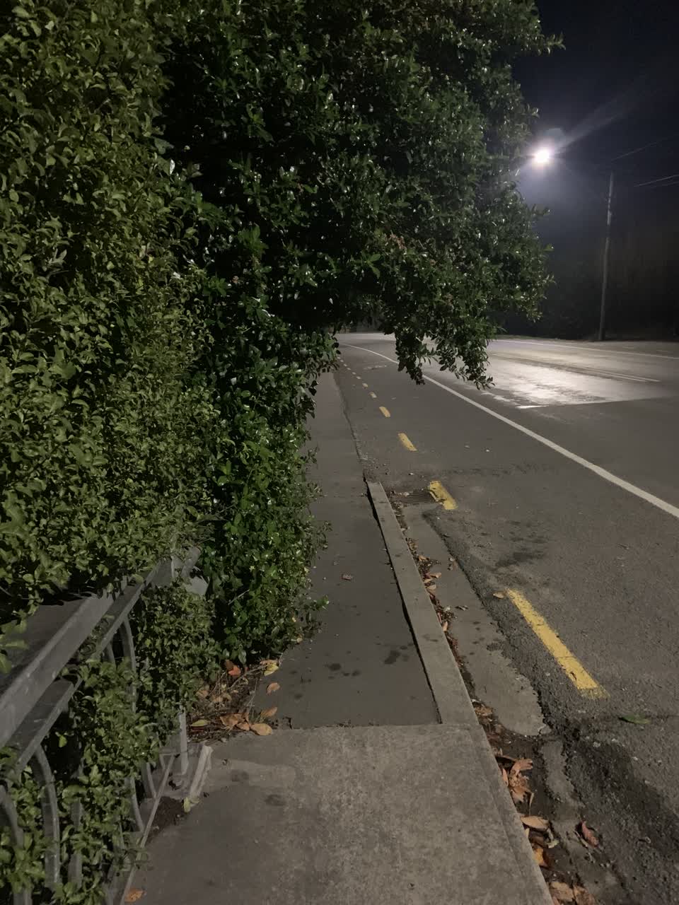 The photograph attached to this roading/streets report