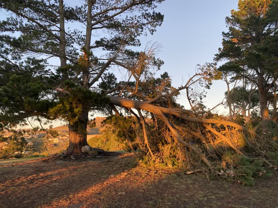 The photograph attached to this parks report