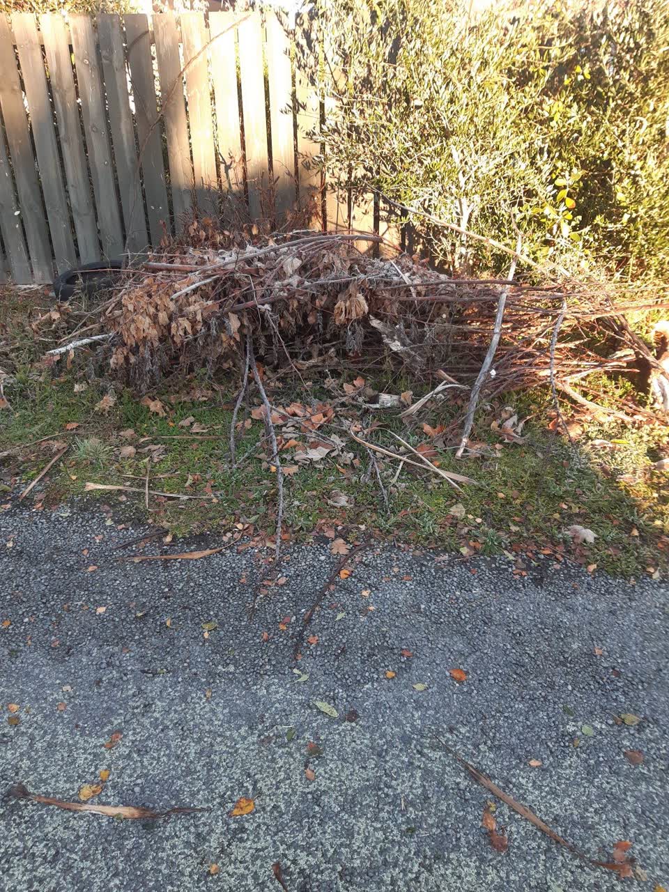 The photograph attached to this parks report