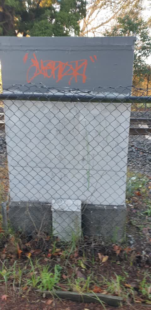 Graffiti, a report photo