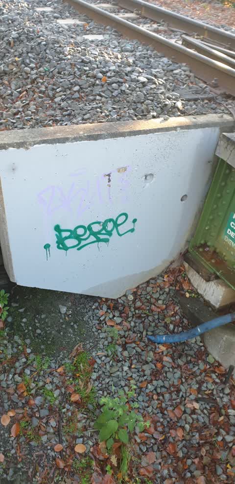 Graffiti, a report photo