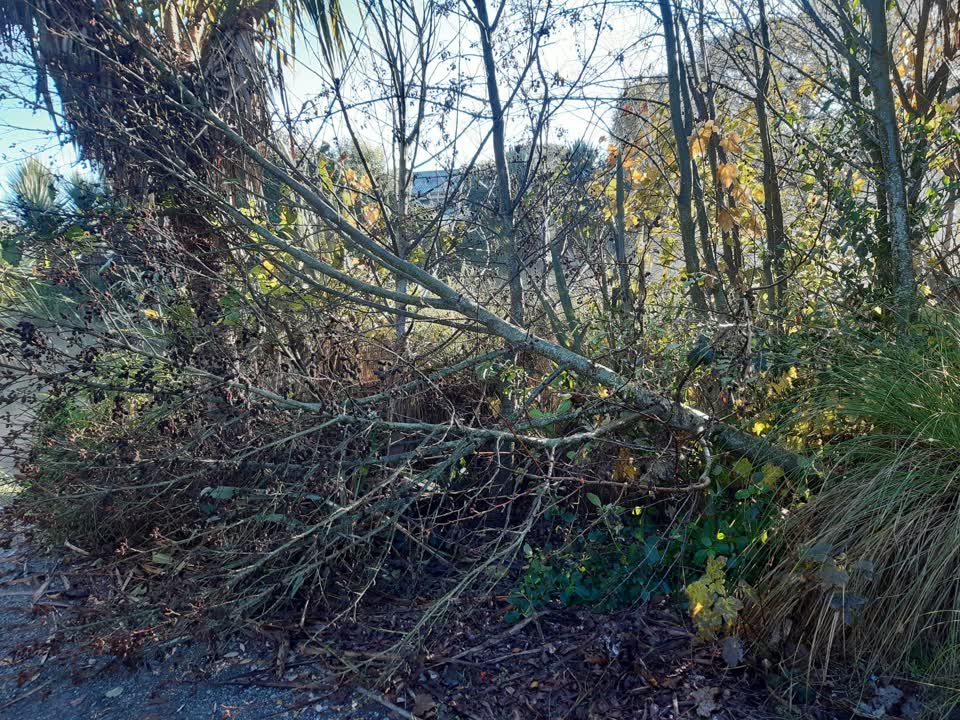 The photograph attached to this parks report