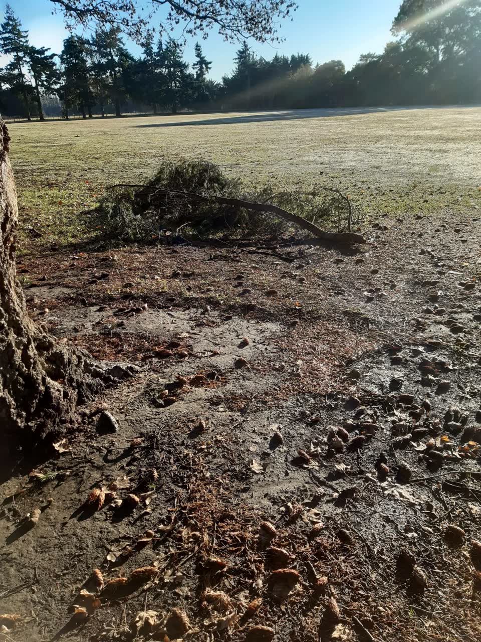 The photograph attached to this parks report