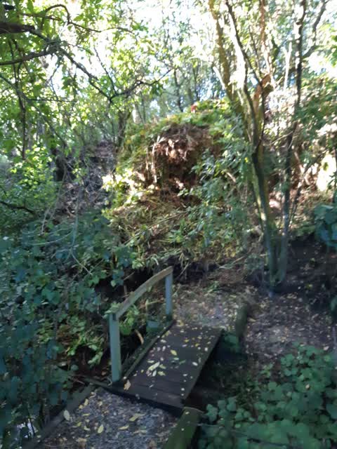 Rubbish/Recycling, a report photo