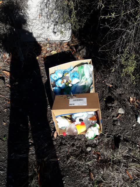 Rubbish/Recycling, a report photo