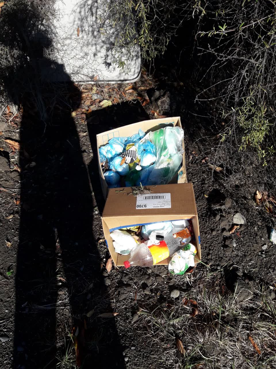 The photograph attached to this rubbish/recycling report