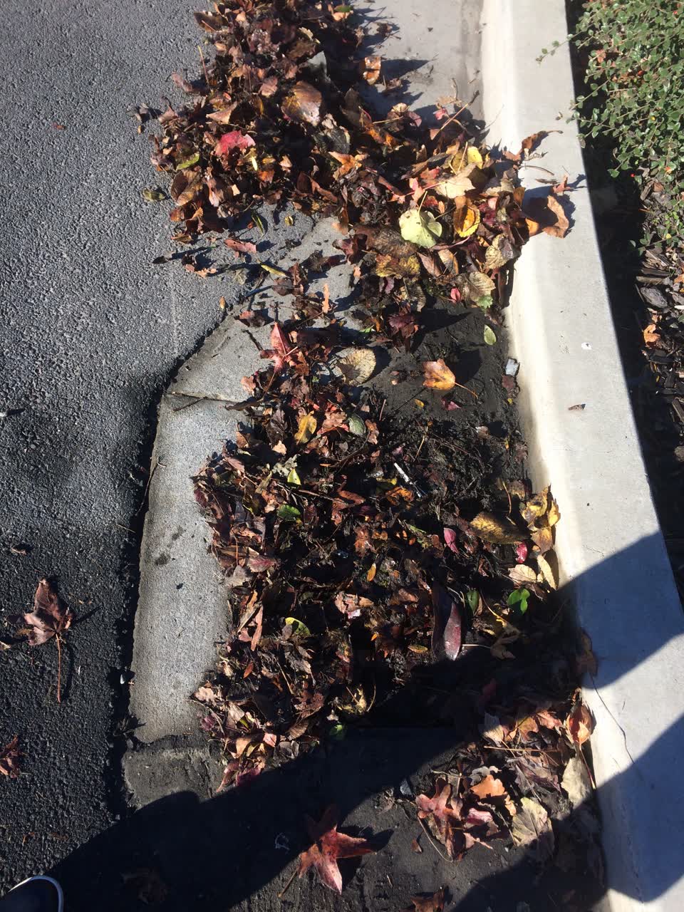 The photograph attached to this wastewater/stormwater report
