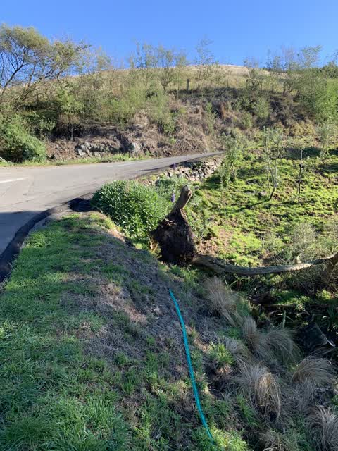 Roading/Streets, a report photo