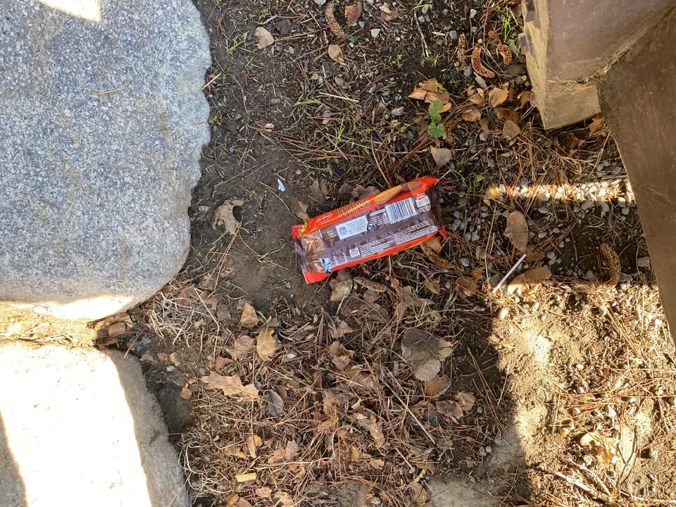 The photograph attached to this parks report