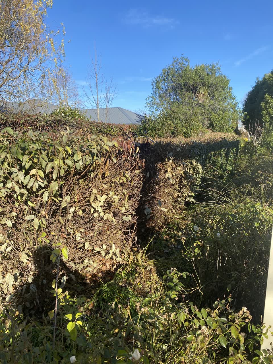 The photograph attached to this parks report