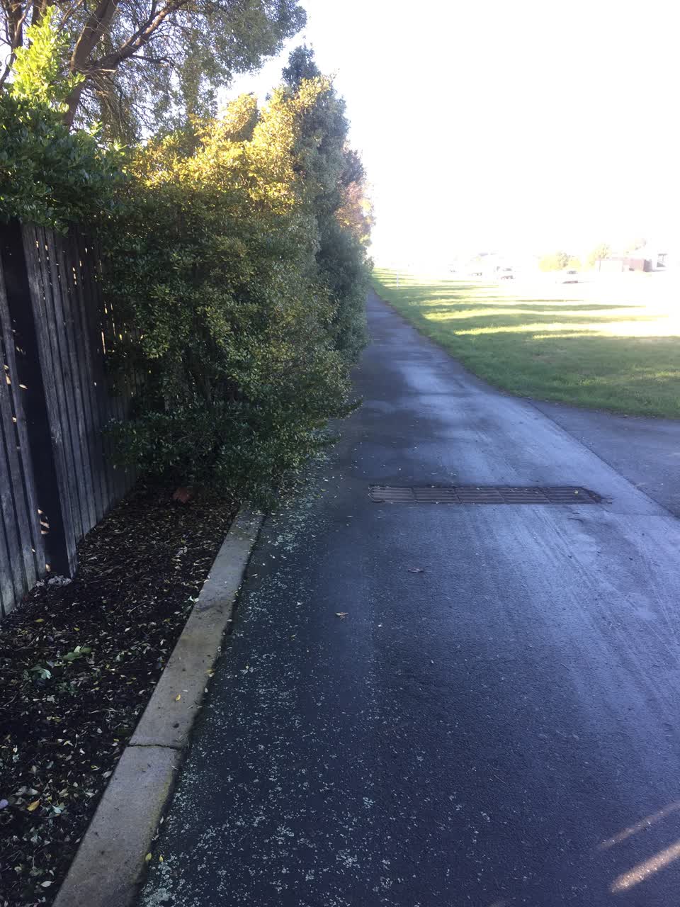 The photograph attached to this parks report