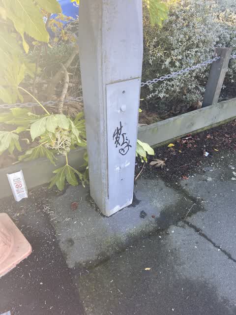 Graffiti, a report photo