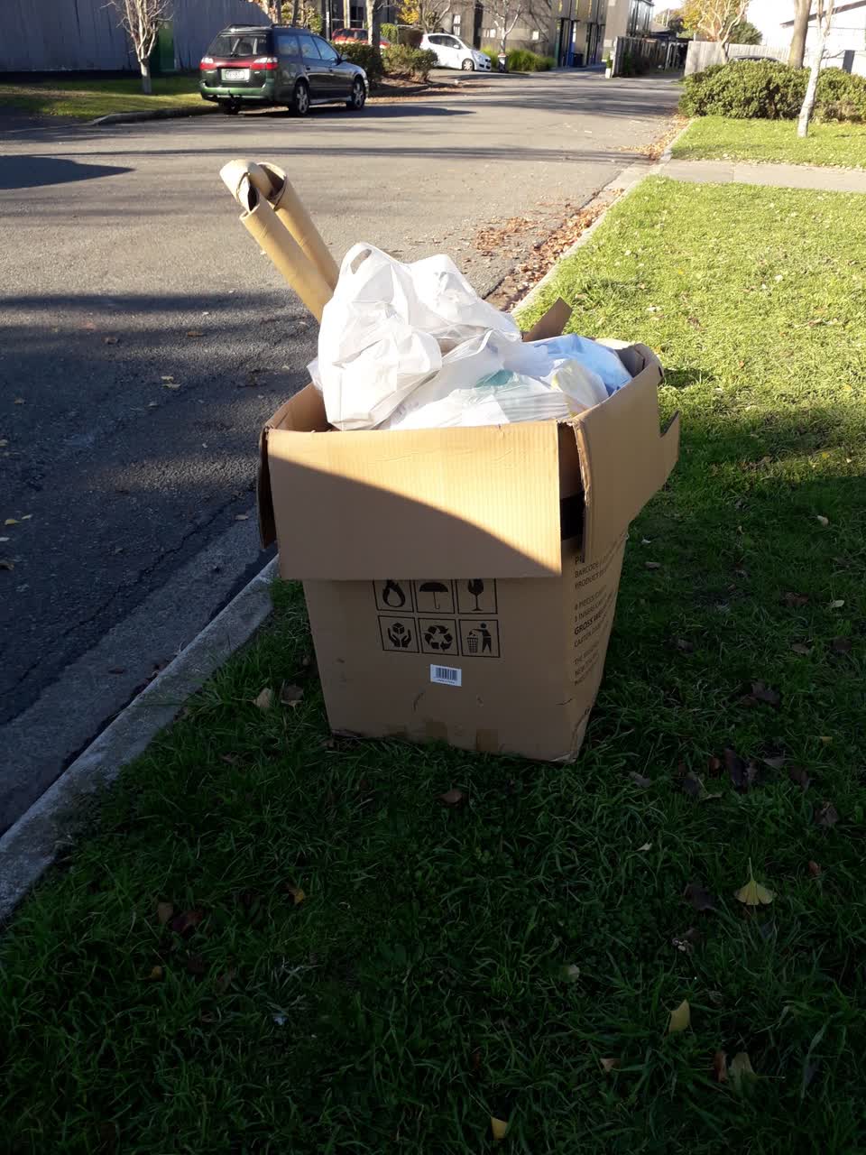 The photograph attached to this rubbish/recycling report