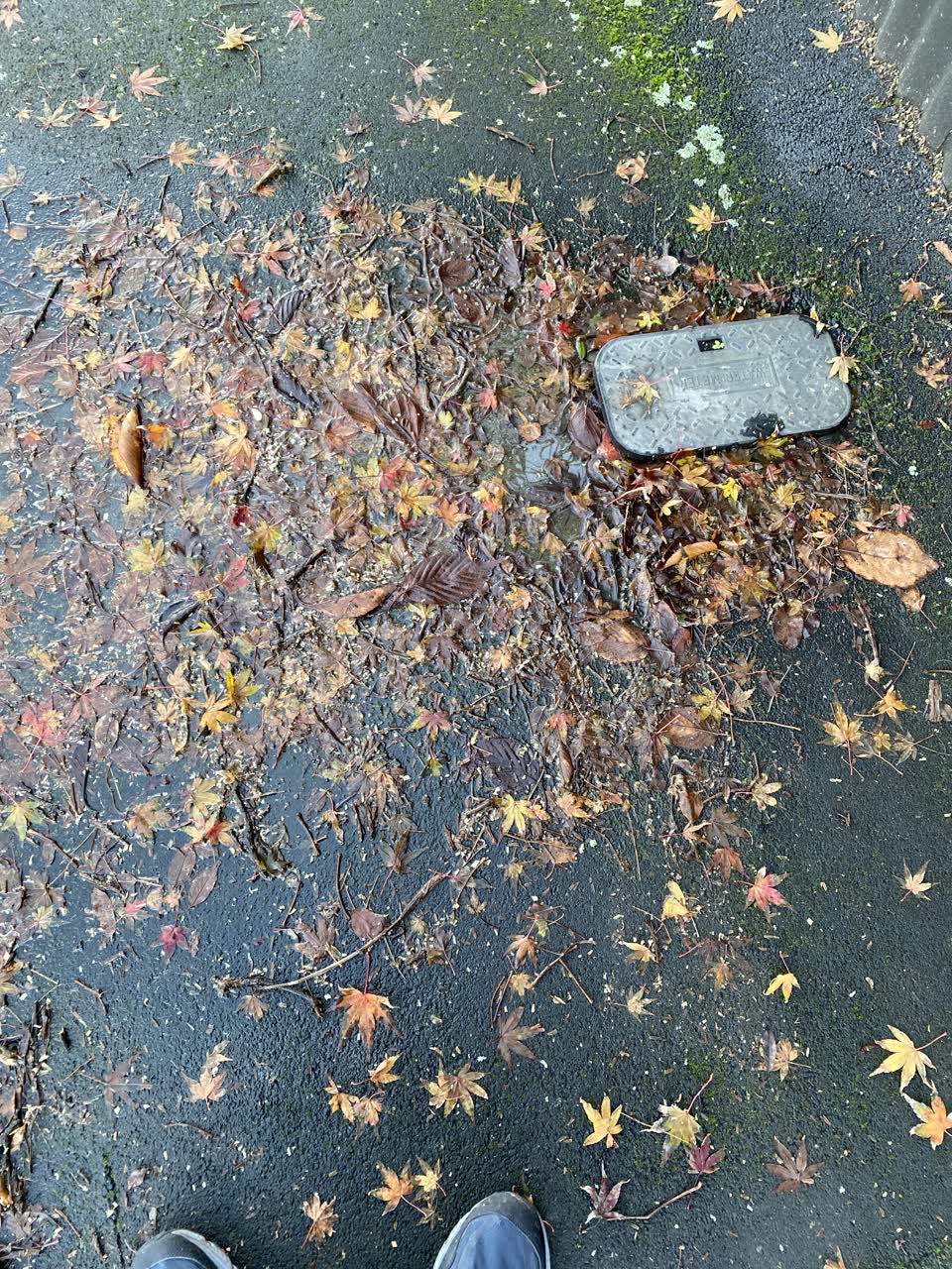 The photograph attached to this water leak report