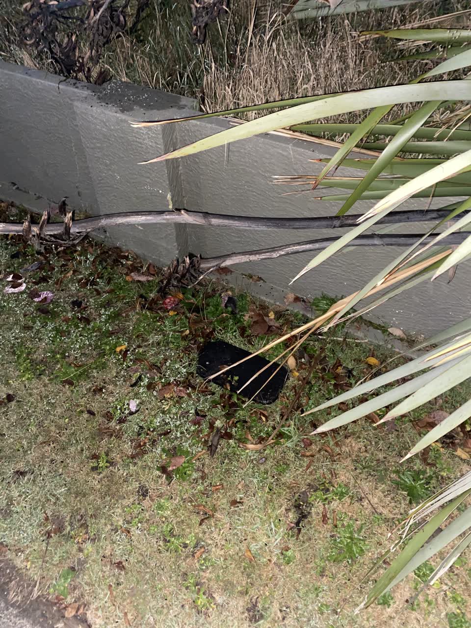 The photograph attached to this water leak report