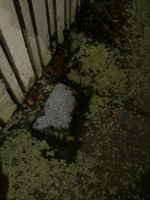 Water Leak, a report photo