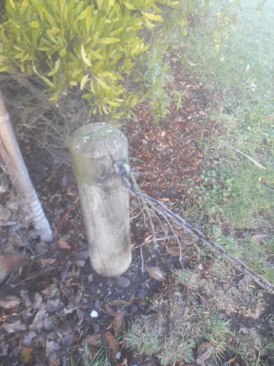 The photograph attached to this parks report