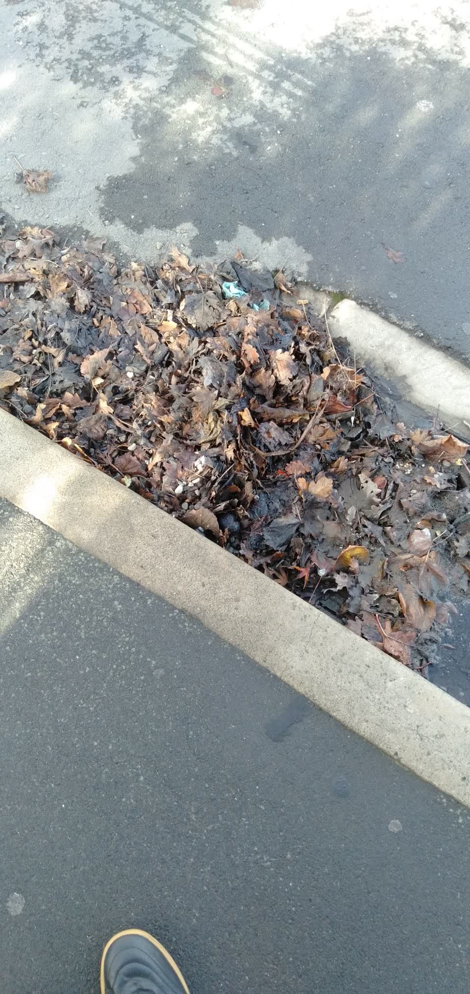 The photograph attached to this flooding report