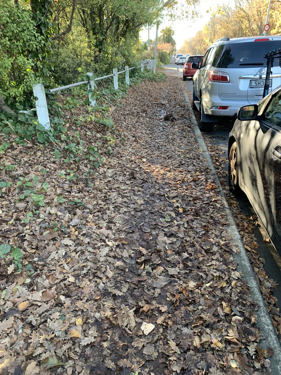 The photograph attached to this roading/streets report