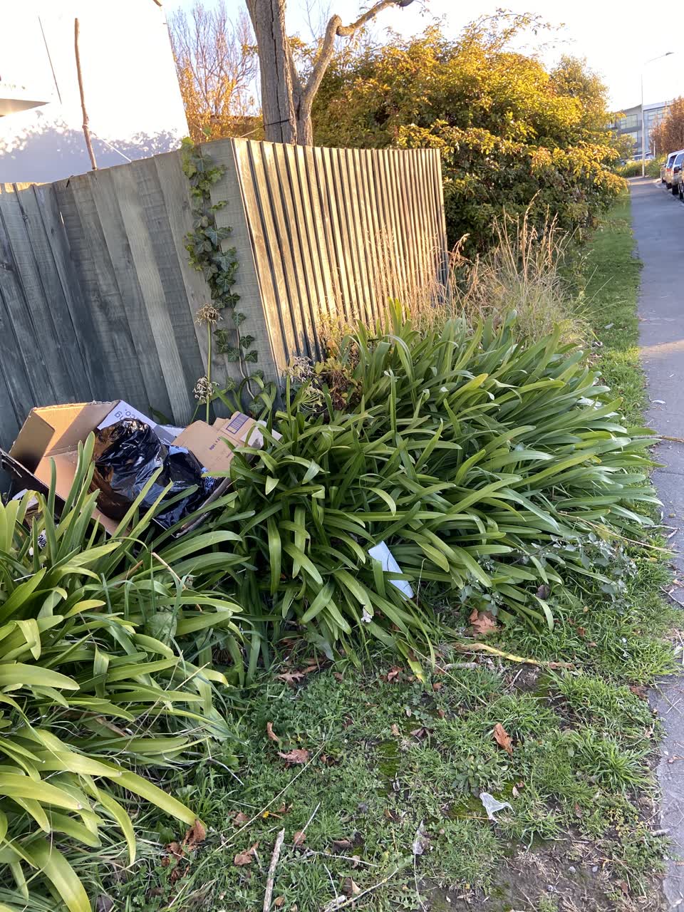The photograph attached to this rubbish/recycling report