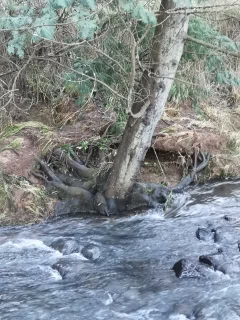 Flooding, a report photo