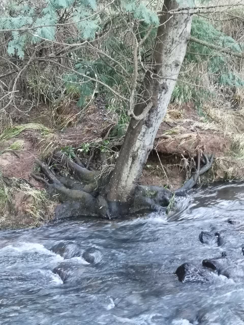 The photograph attached to this flooding report