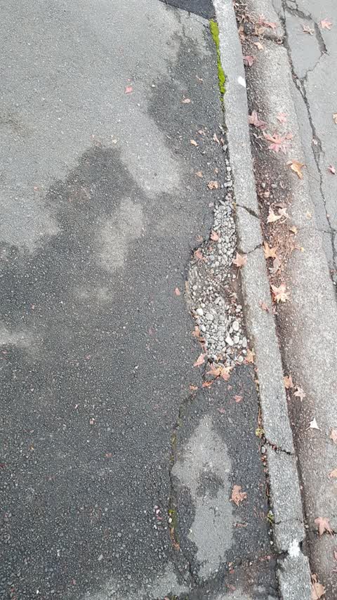 Roading/Streets, a report photo