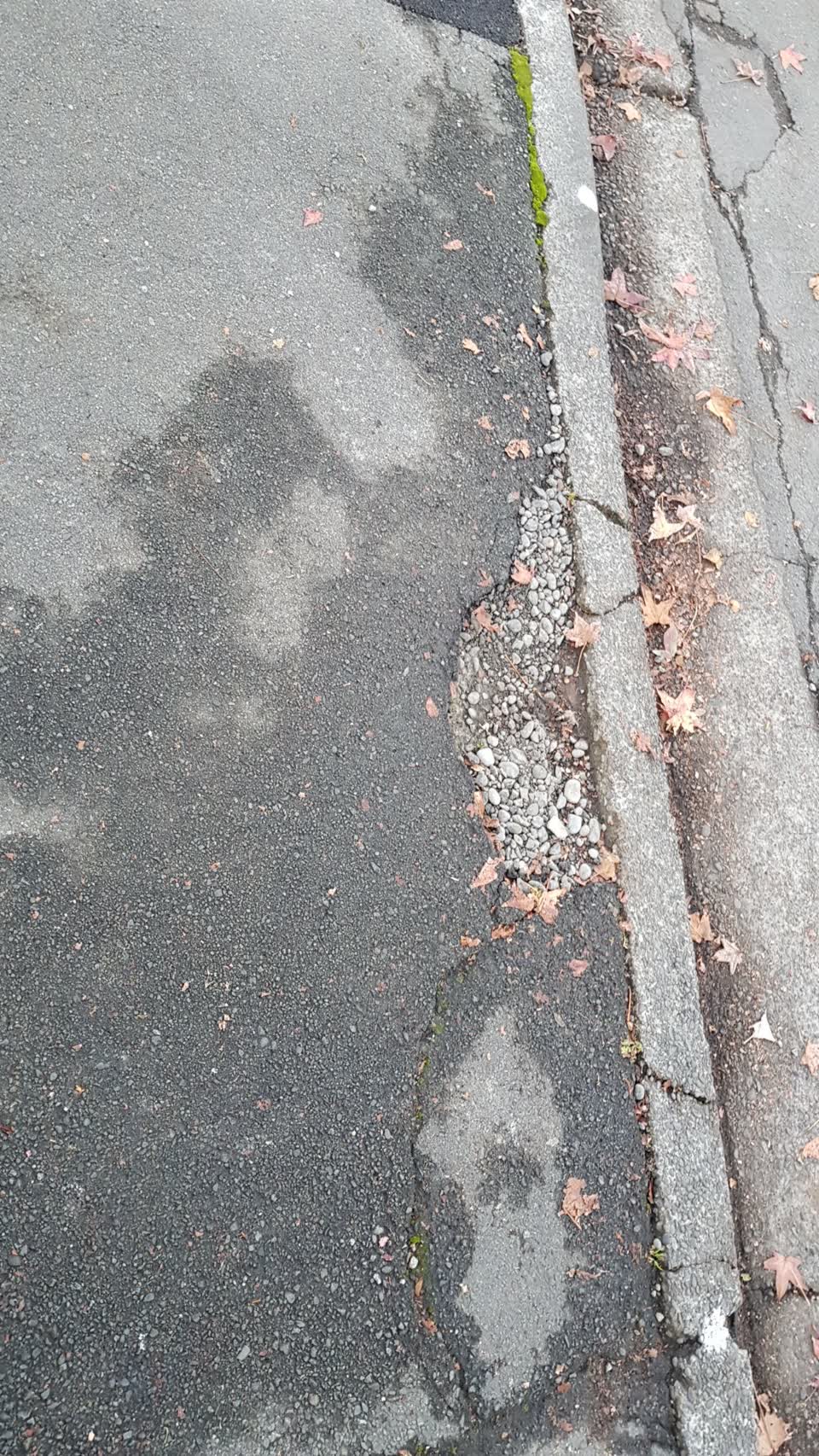 The photograph attached to this roading/streets report