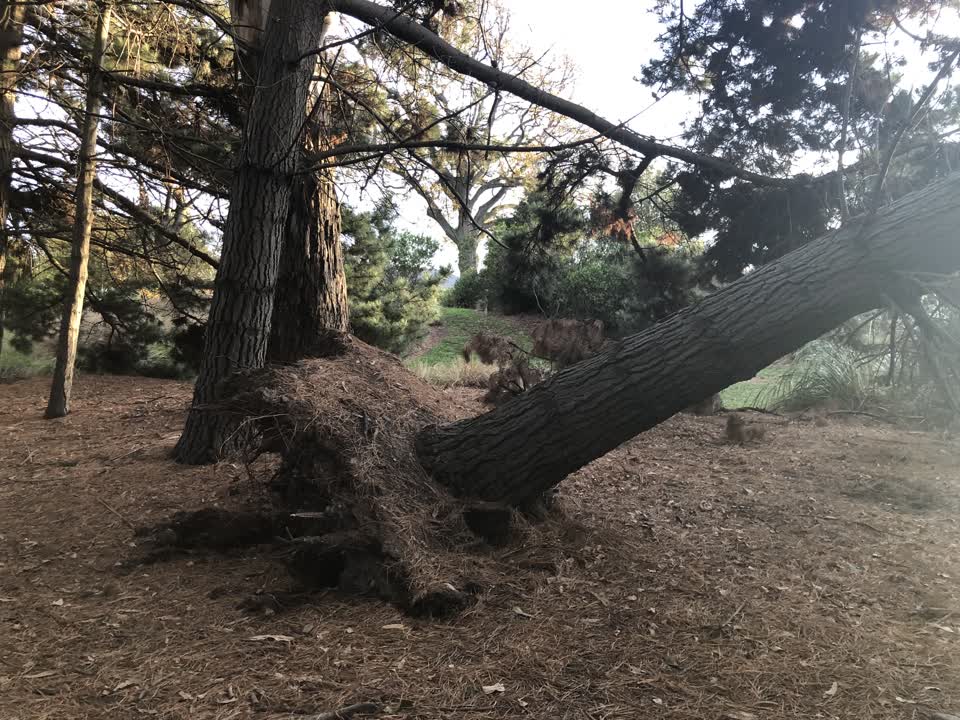 The photograph attached to this parks report
