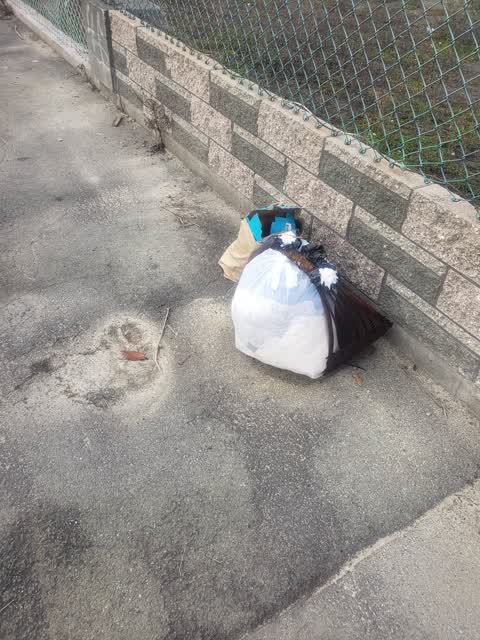 Rubbish/Recycling, a report photo