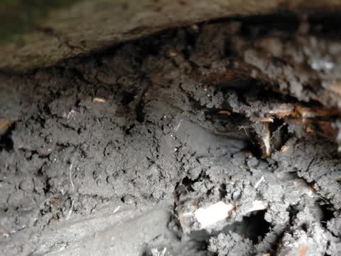 Wastewater/Stormwater, a report photo