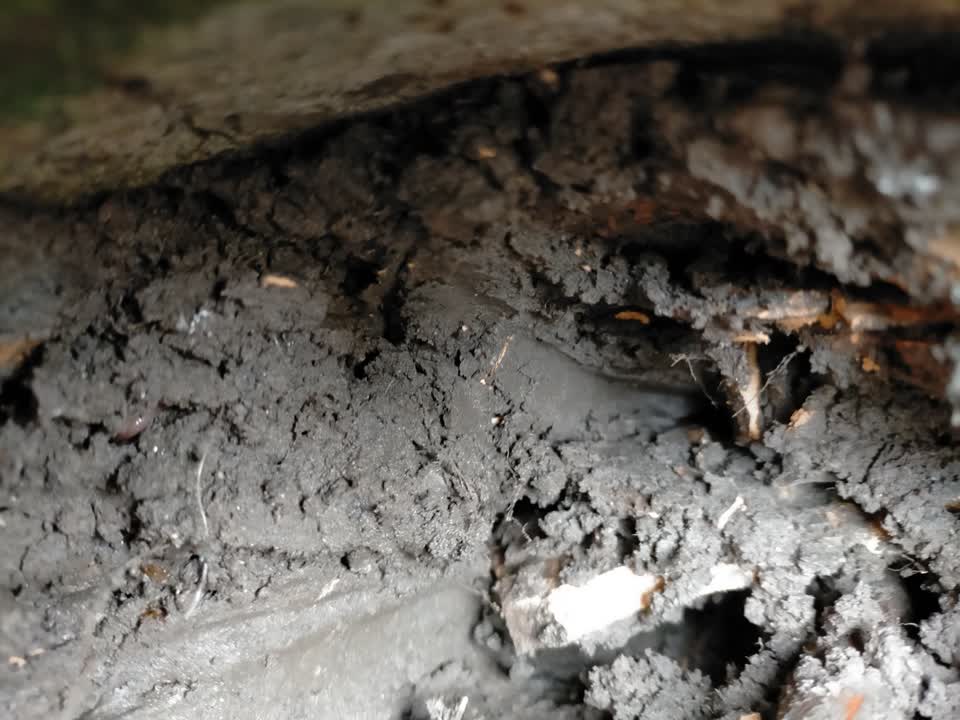 The photograph attached to this wastewater/stormwater report