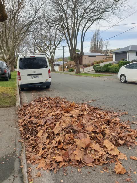 Roading/Streets, a report photo