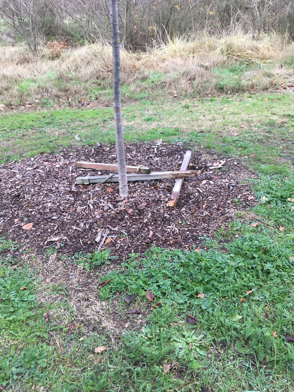 The photograph attached to this parks report