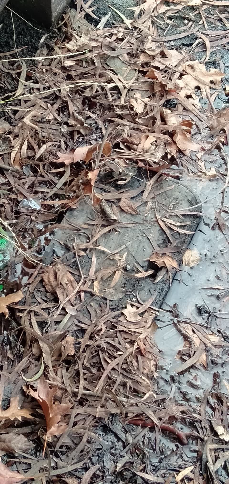 The photograph attached to this water leak report