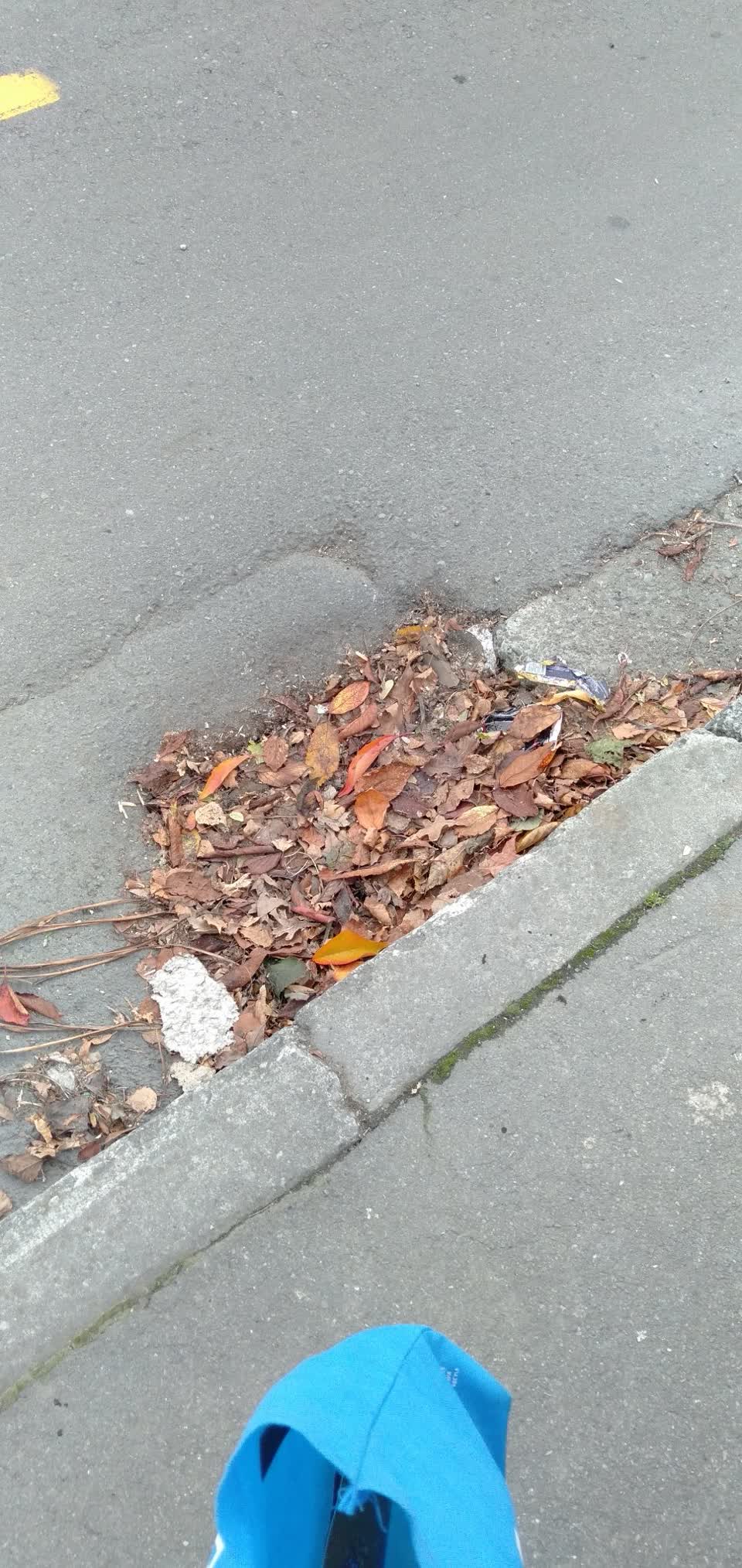 The photograph attached to this flooding report