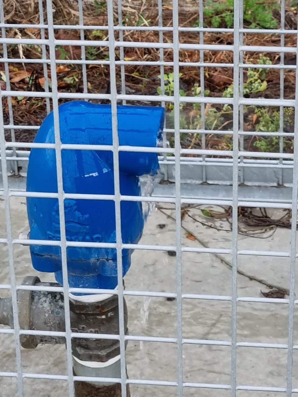 The photograph attached to this water leak report